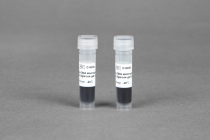 Bioneer C-9029 6X Agarose Gel Loading Buffer