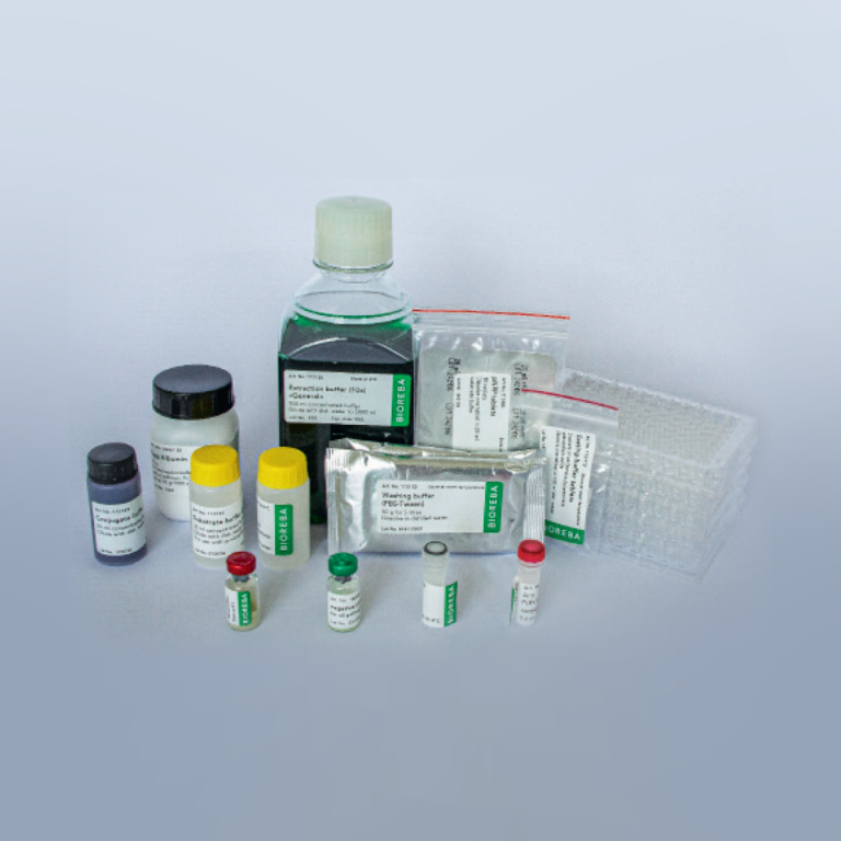 CTV Complete KIT 480